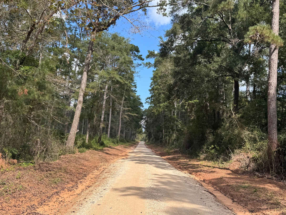 Shell Oil Road photo 3