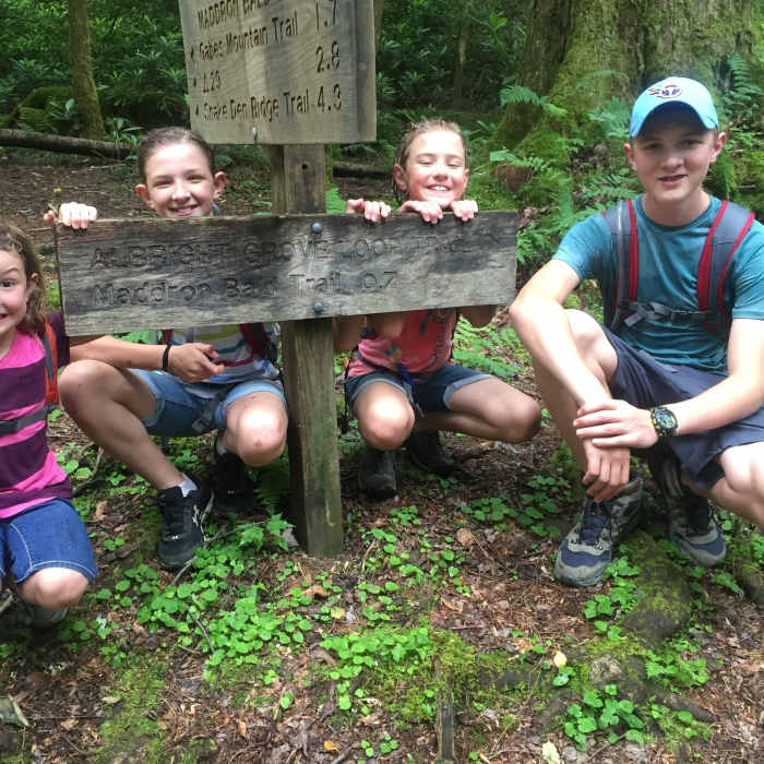 Near Maddron Bald Trail