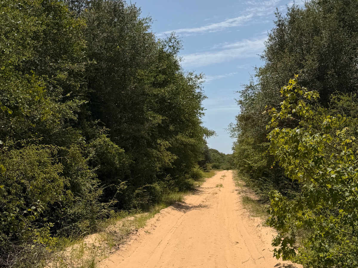 Buck Island Boat Ramp Trail photo 3