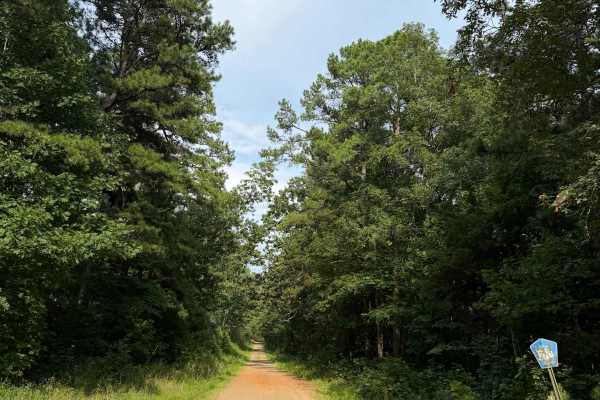 East Fork Bypass