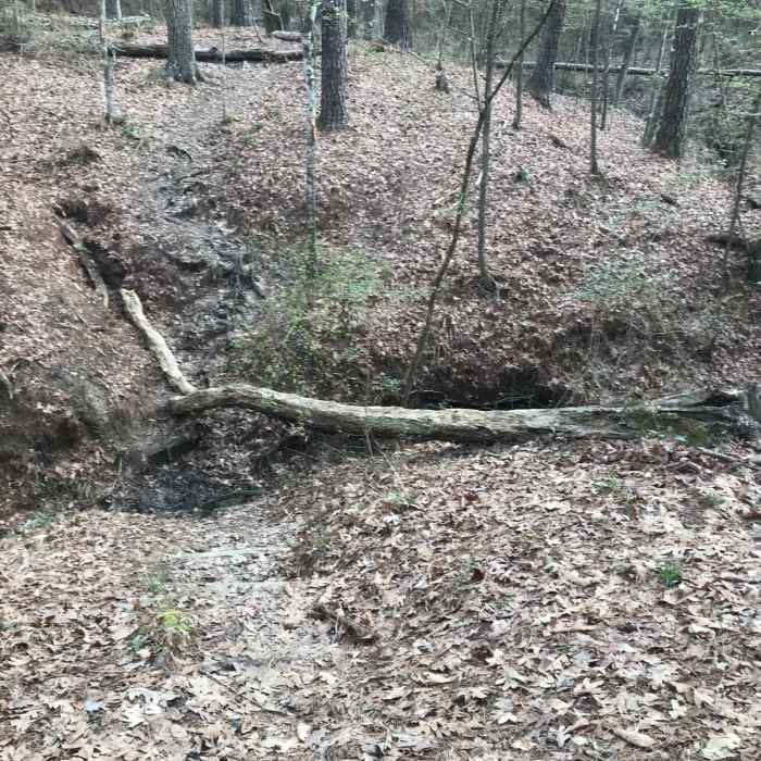 One of the many creek crossings - muddy but jumpable. Near Four Notch Loop