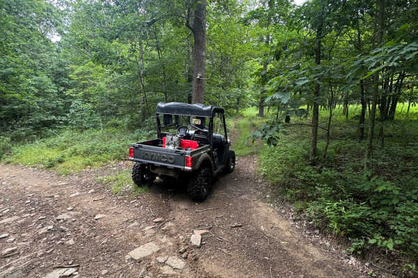 Trail 15