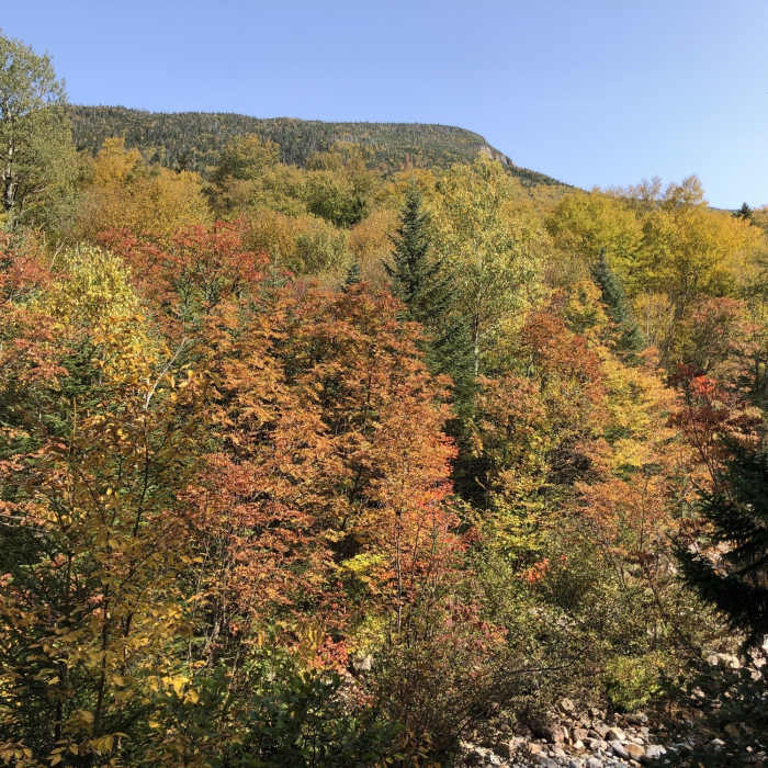 A partial view of North Twin Mountain from the Gale River Trail Near Gale River