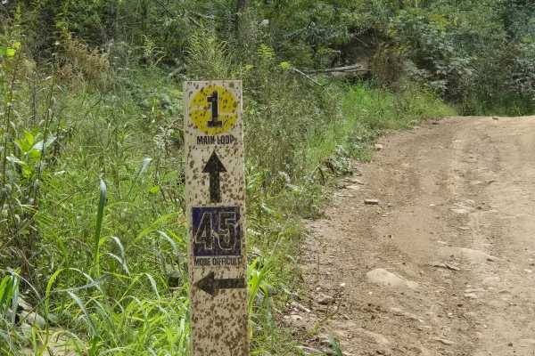 Trail 45