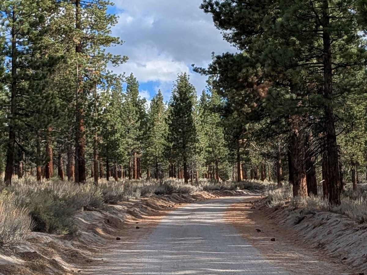 FS 1S04 trail photo