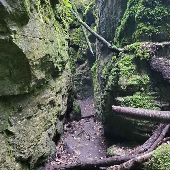 Standing Rock and Caves side trail. Near Singhampton Caves Loop