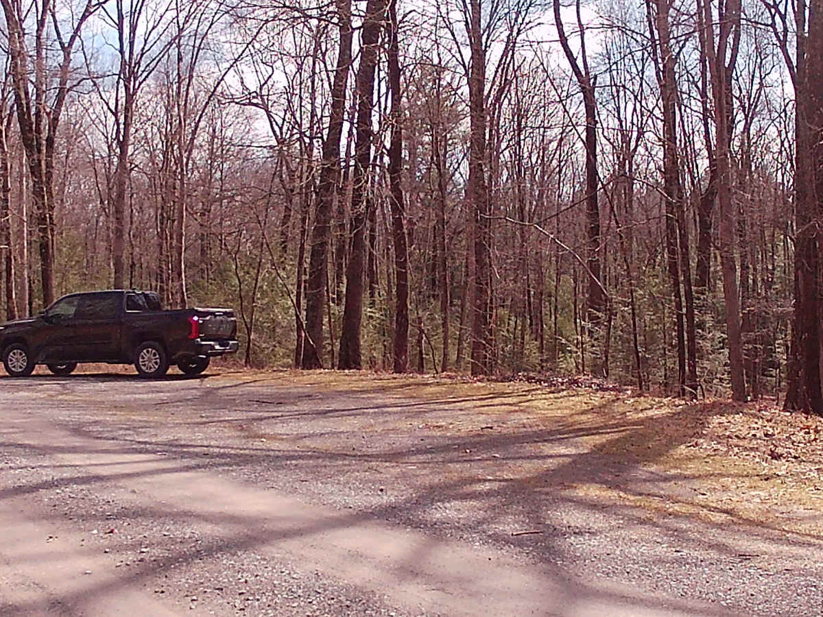 North Run Road photo 3