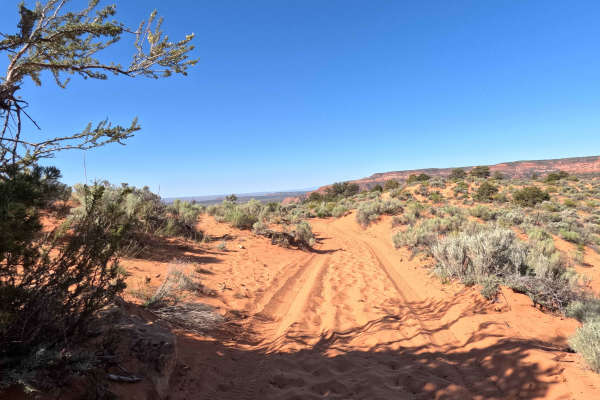 Squaw Trail 