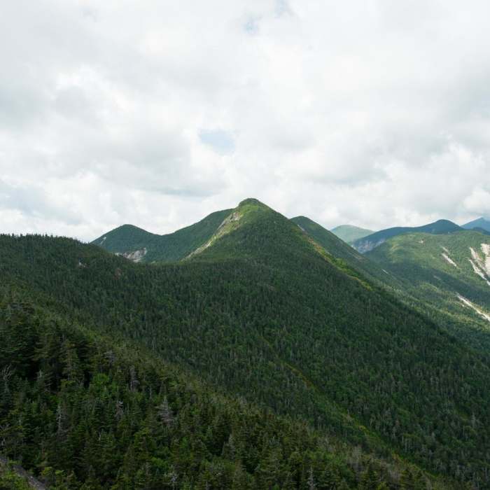 Near Gothics + Armstrong Near Gothics + Armstrong