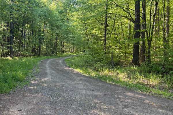 Dewdrop Trail A - FS 263A
