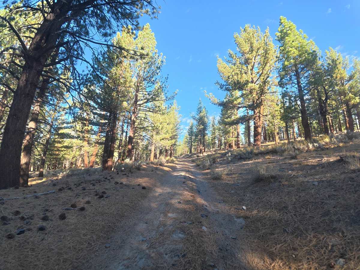 Antelope Loop - FS 3S39 photo 2