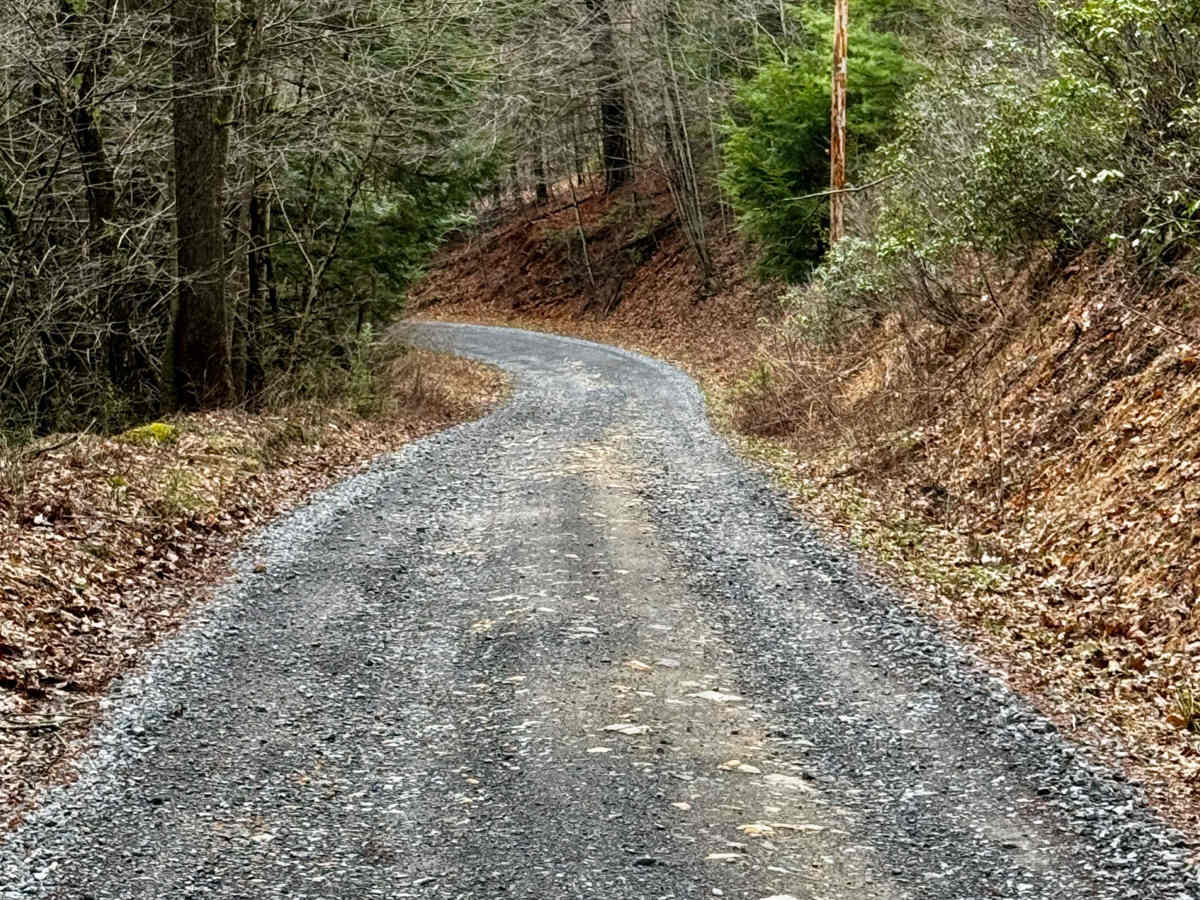 Bear Creek Forest Road photo 6