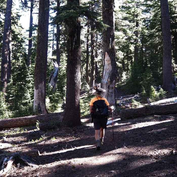 Near Tipsoo Peak Trail #1472