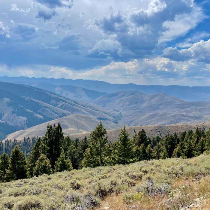 Near Continental Divide Trail: Montana-Idaho Section 9