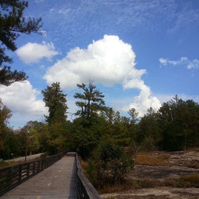 Boardwalk path along Klondike Rd. Near Vaughters Out and Back