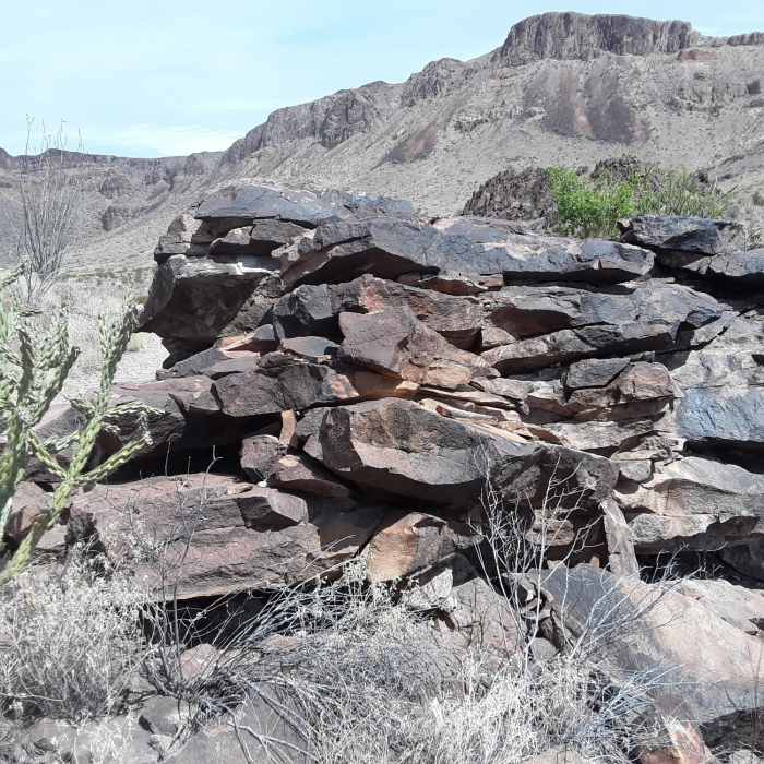 Near Burro Spring Trail