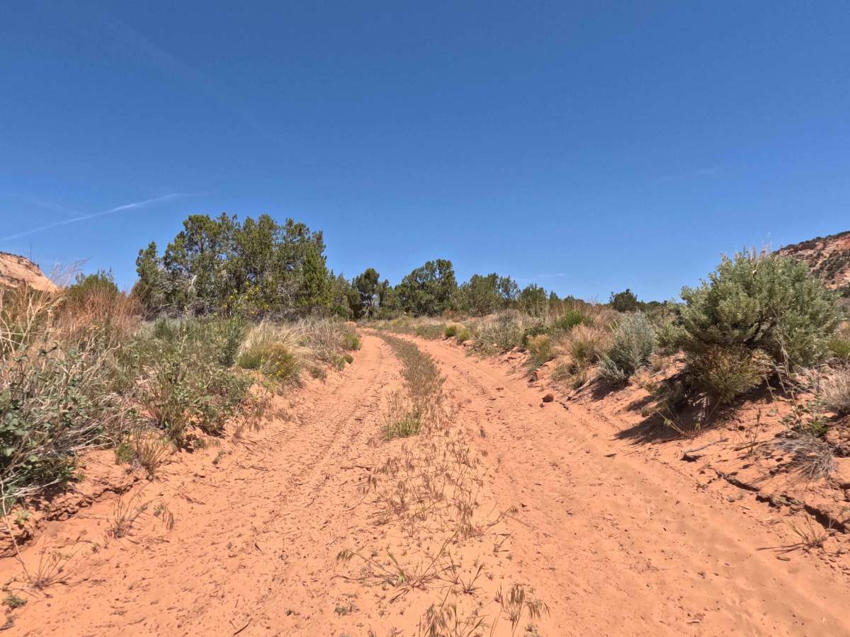 BLM 15 photo 5