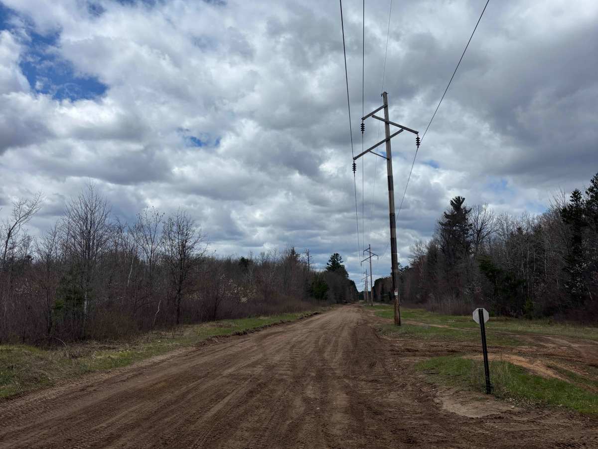 East Butler Rock Road - FS 5556 photo 4