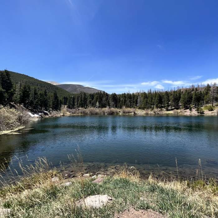 Near CR 198 Lake Creek Road