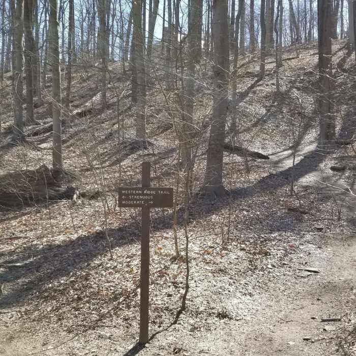 Near Reservation 630 Trail