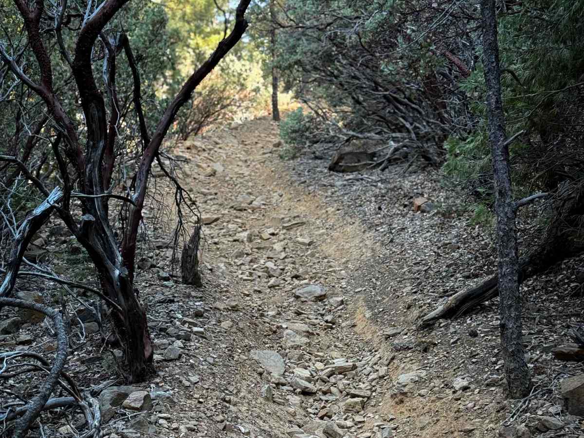 Trail 4-2 (11E25)  photo 3