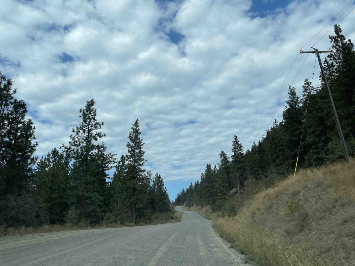 Bear Lake Road to Esperson Lake photo 6