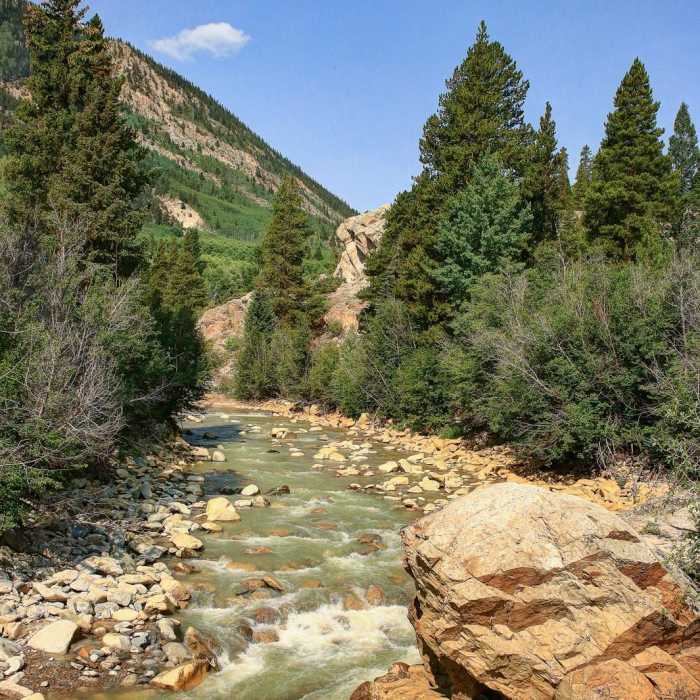 Near Big Willis Gulch Trail