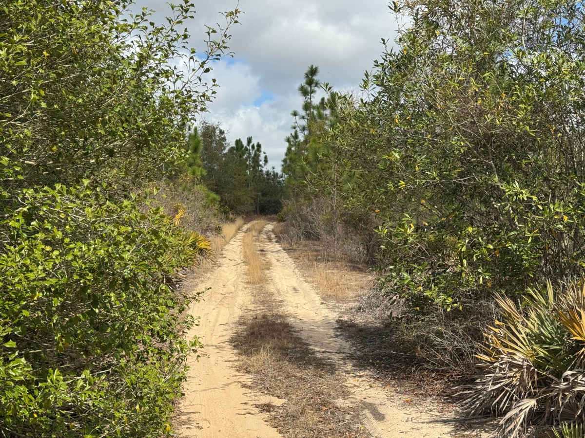 Hunting Road photo 2