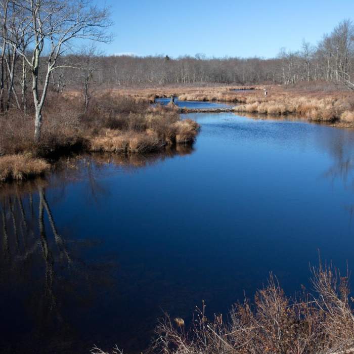 Near Lakeside Trail Near Lakeside Trail