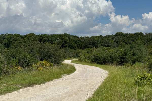 North Road