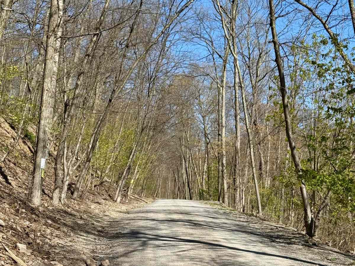 Shade Mountain Rd photo 3