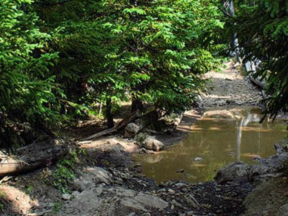 South Derby Creek photo 4