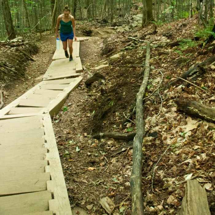 Near Mount Arab Hike Near Mount Arab Hike