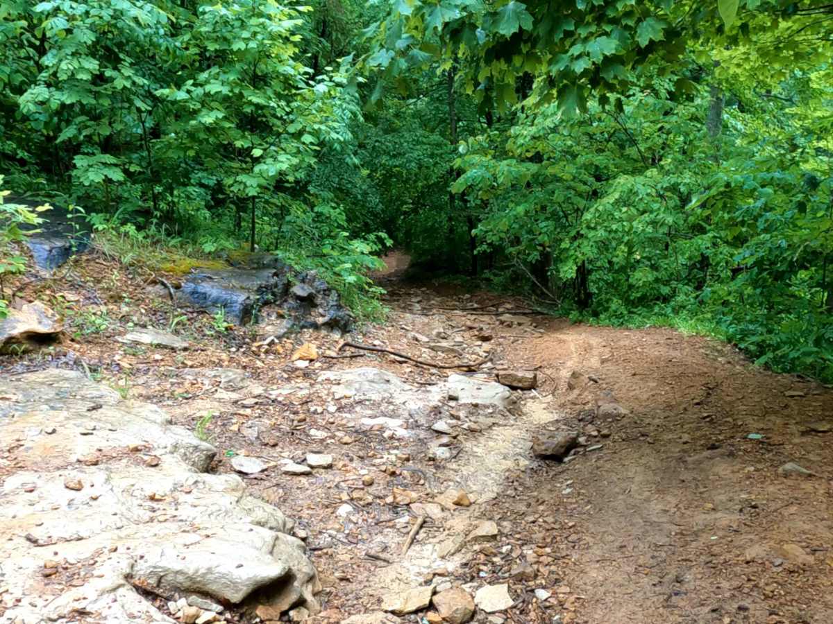 Happy Top trail photo