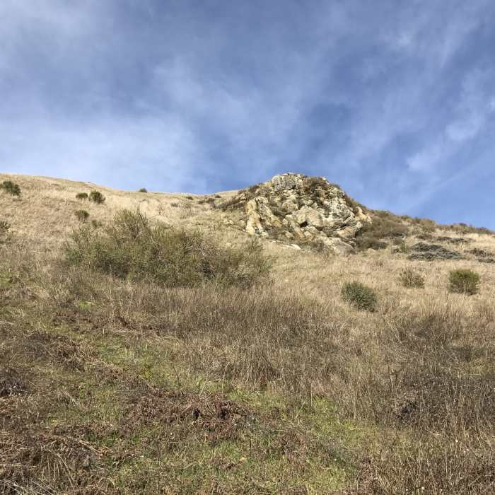 Near Alder Spring Trail