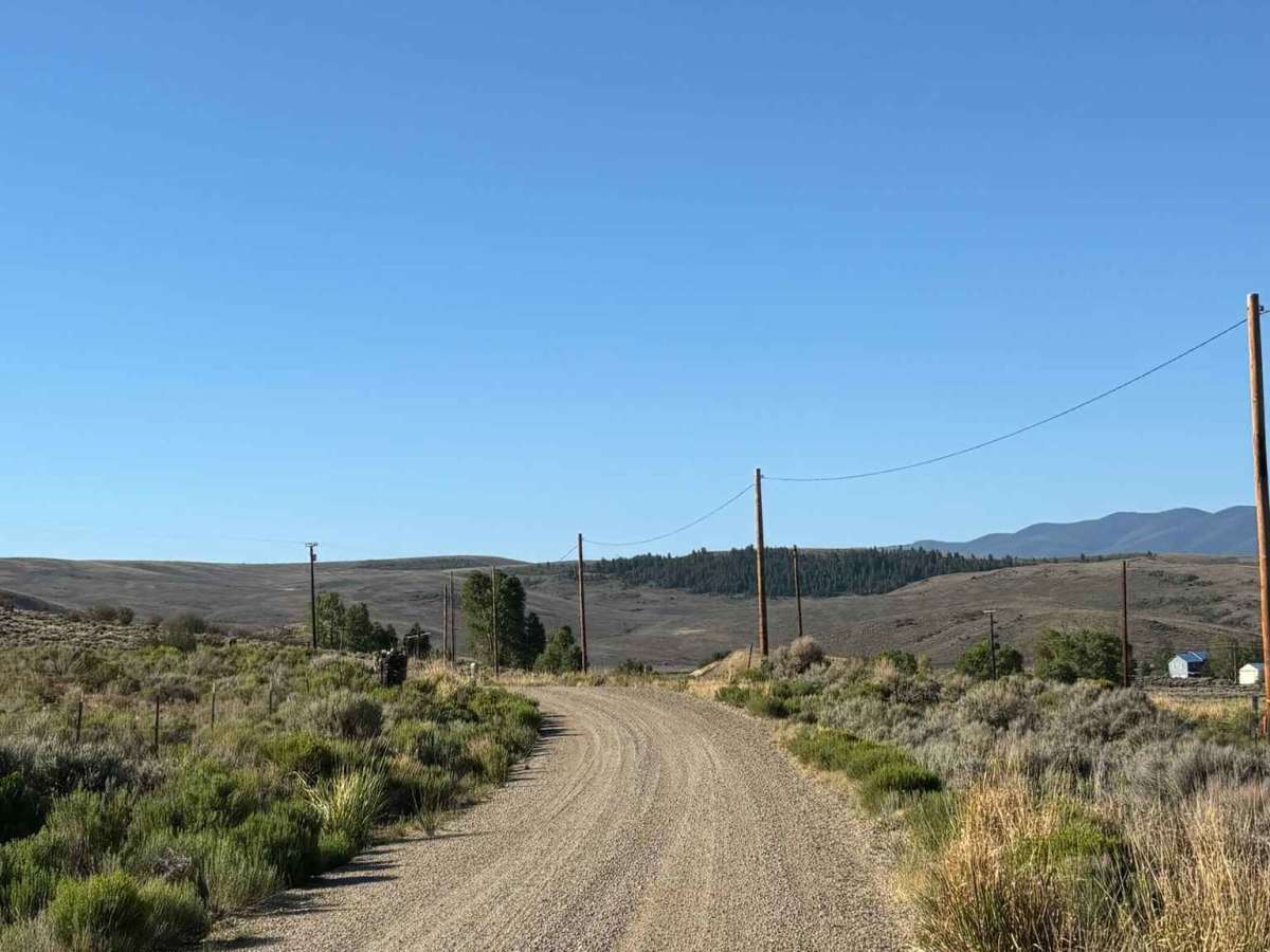 Bureau of Land Management Route 2738 - Ingress photo 3