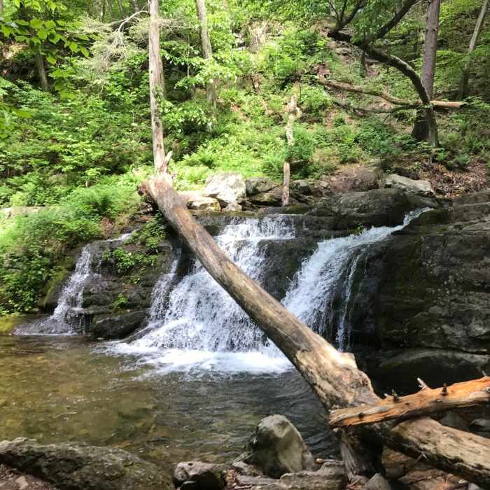 Near Dunnfield Creek Trail