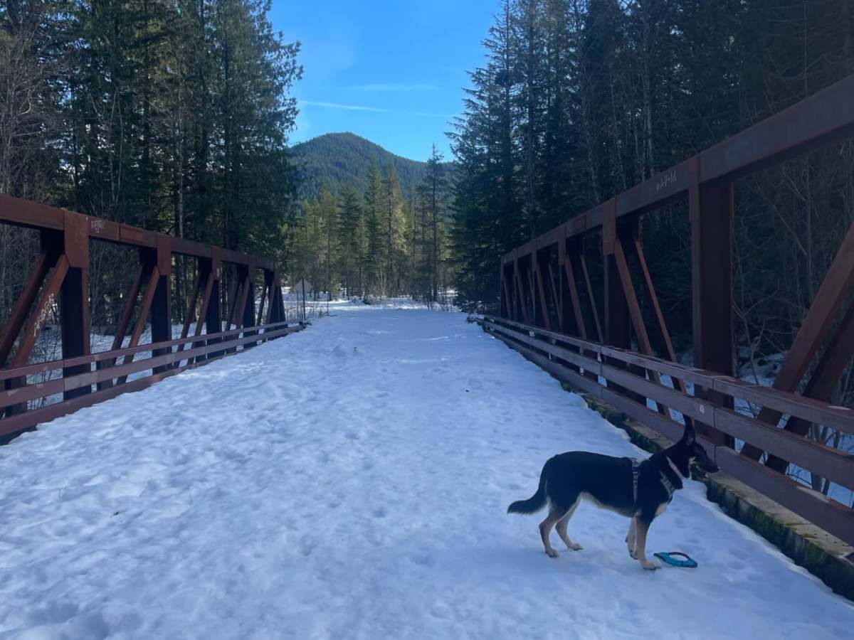 Muddy Fork Road trail photo