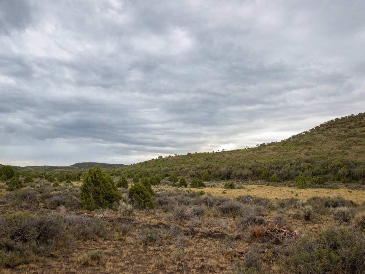 Teah Flat Trail photo 6