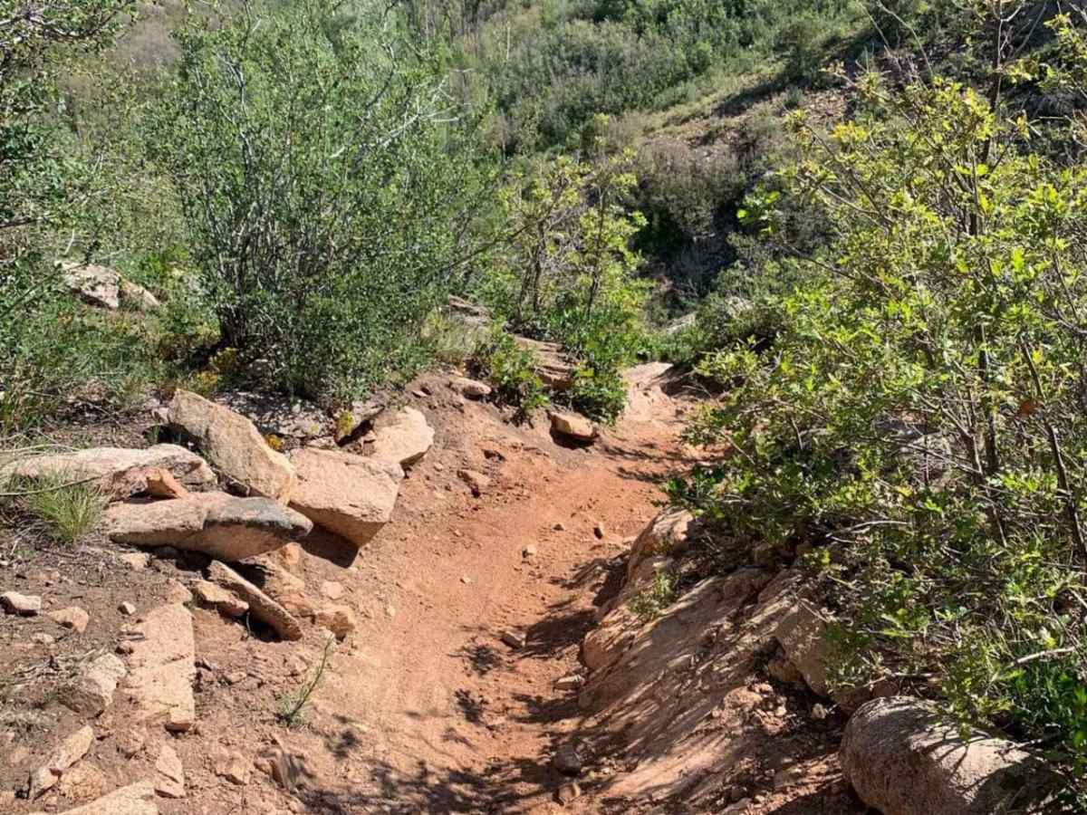 Ute Creek photo 3