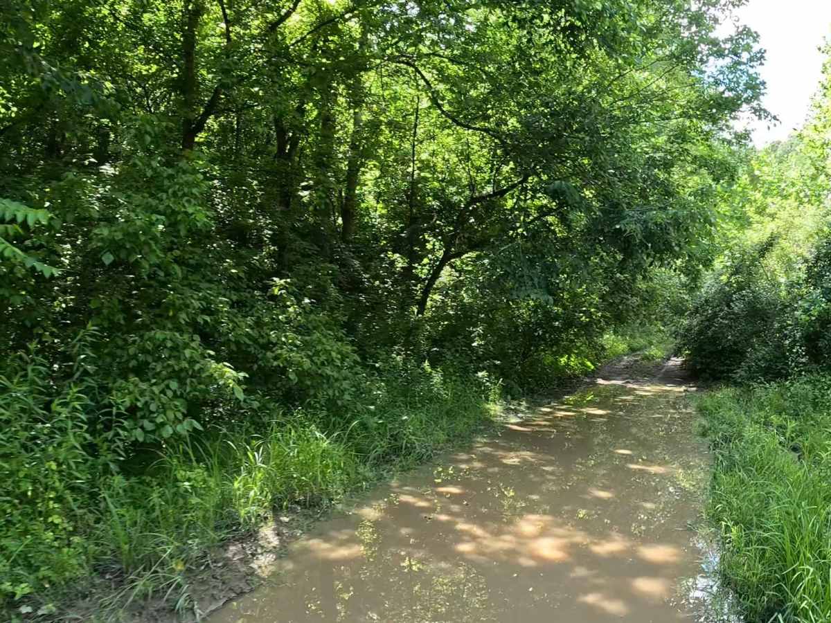 W6A trail photo