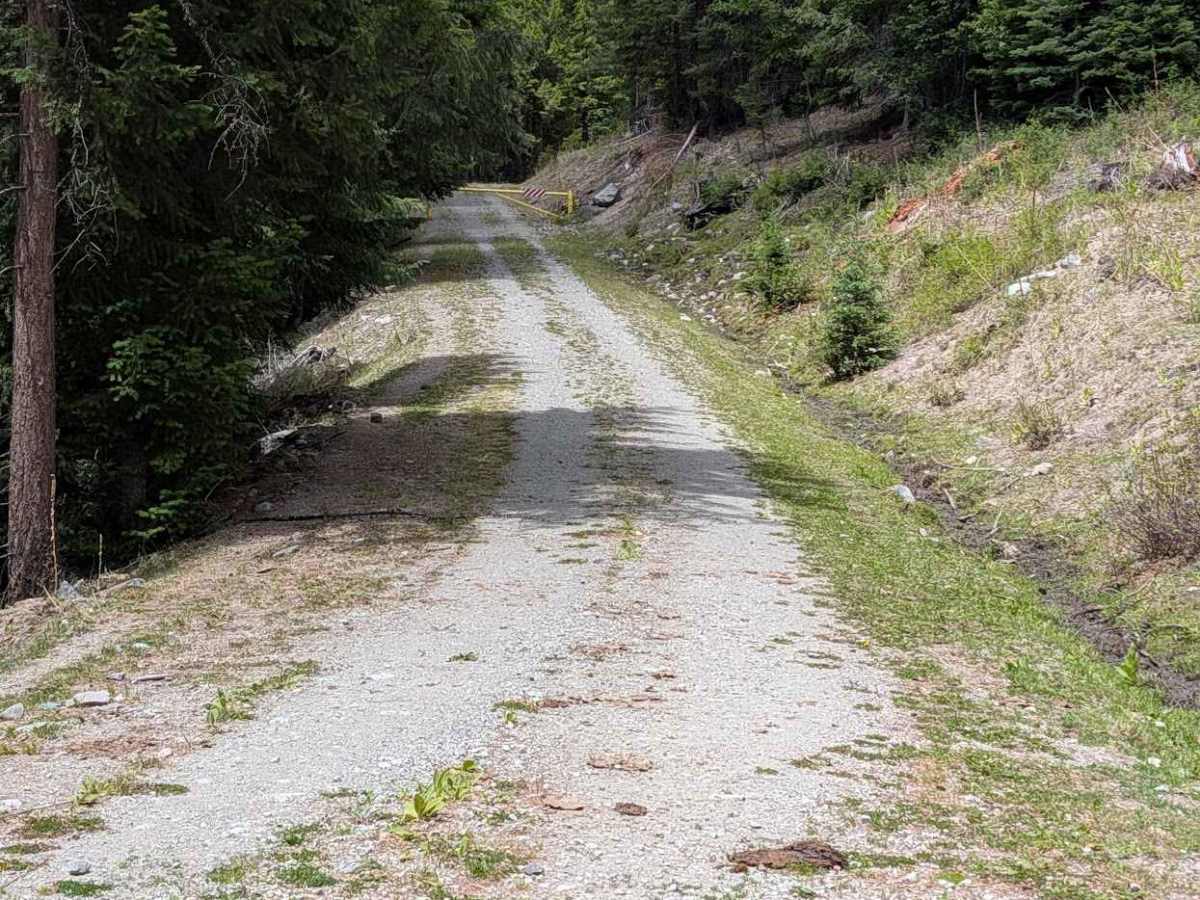 Sarsapkin Creek Road trail photo