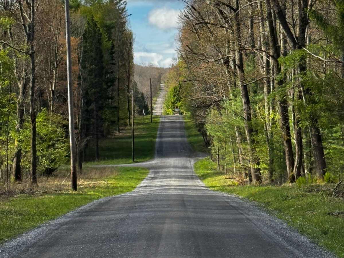 McGeorge Road photo 3