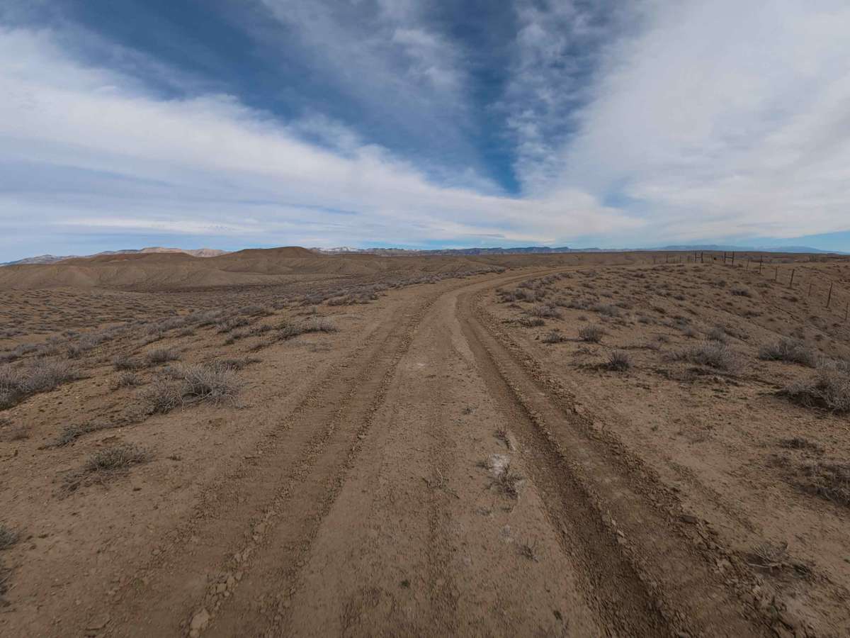 BLM 125 photo 2