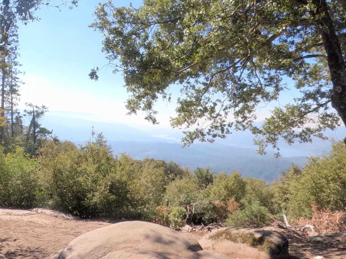 Vista Dome - FS 6S088 photo 3