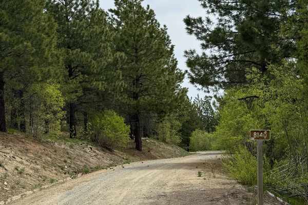 Antoine Creek Road - FS 8140
