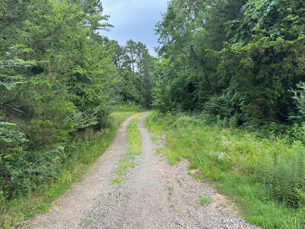 County Road 3380 trail photo