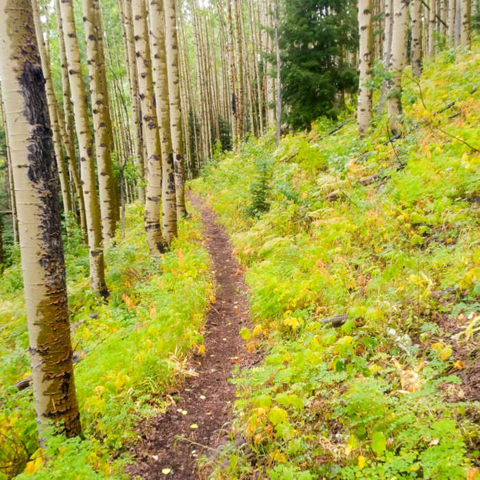 Near Four Mile Falls/Anderson Trail Loop