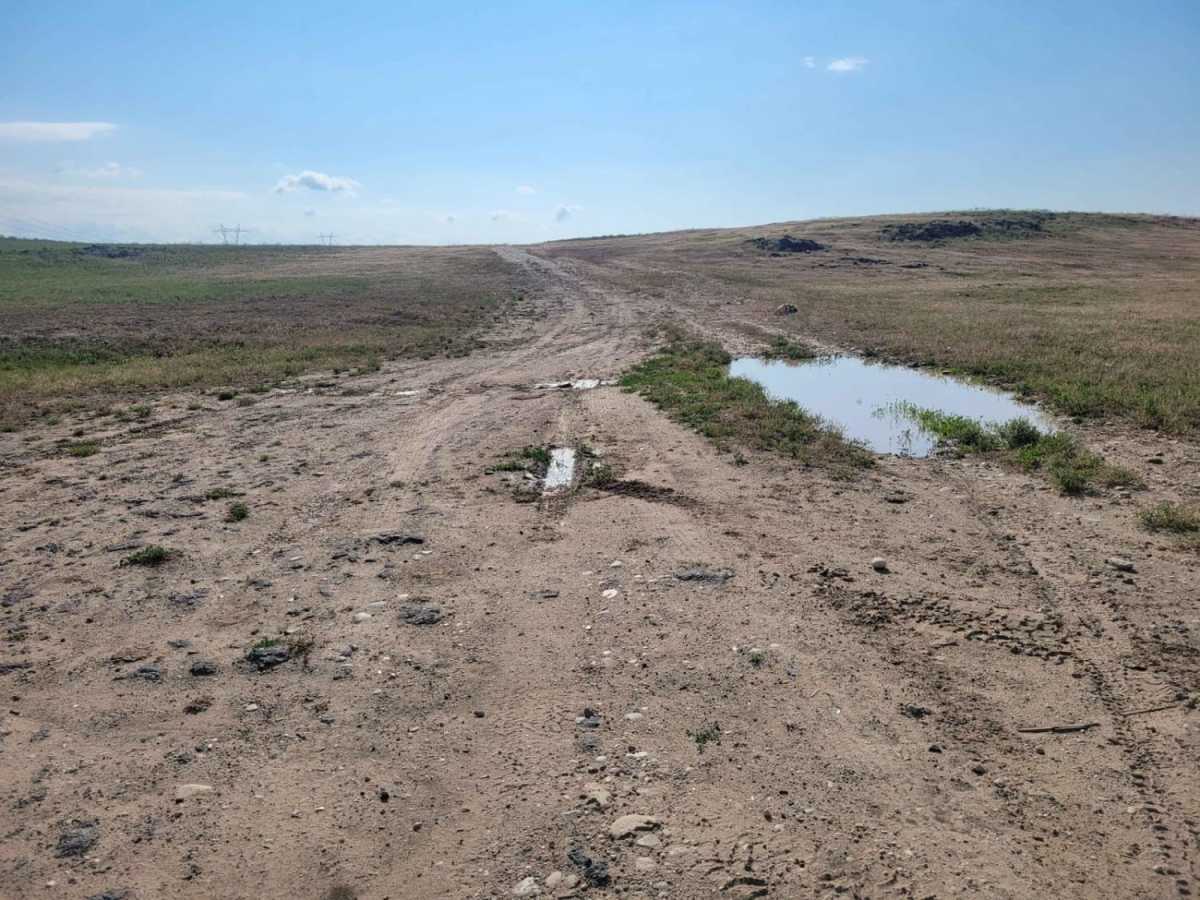 Prairie Dog Lane photo 2