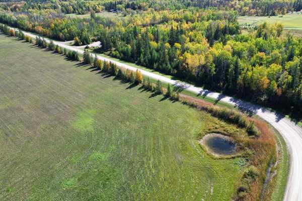 Birch River Road
